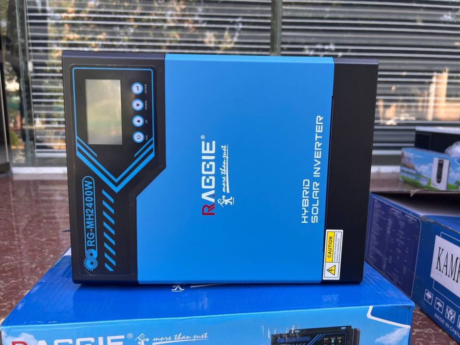 Raggie инверторы