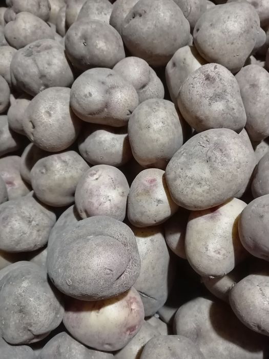 Продам картофель дачный!