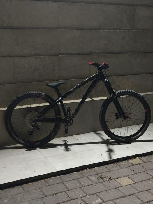 Dartmoor Hornet 2024