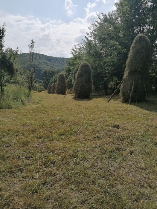 Vând baloti fân! 21 lei