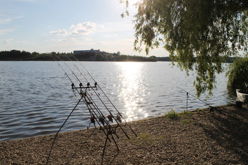 Vand Rod Pod Fox Ranger MK2 + buzz bari extended