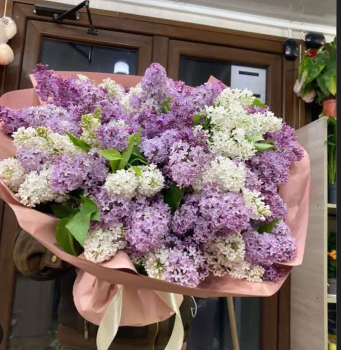 Букеты сирень бронь