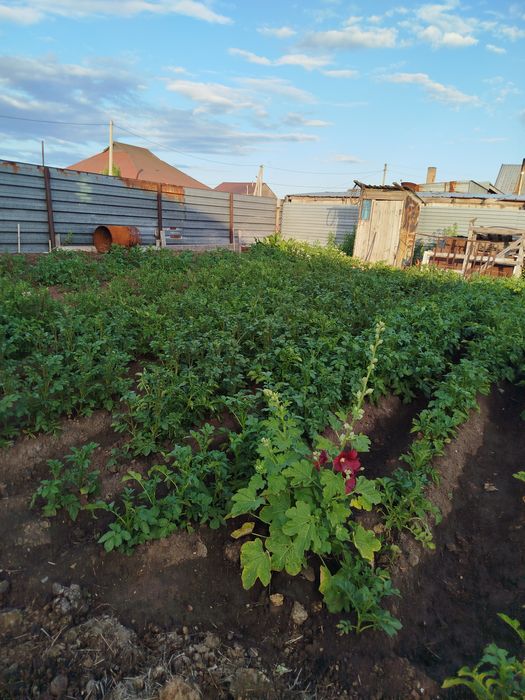 продажа отдельно