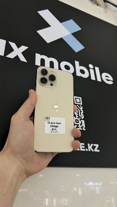 iphone 13 pro max 256gb 81%
