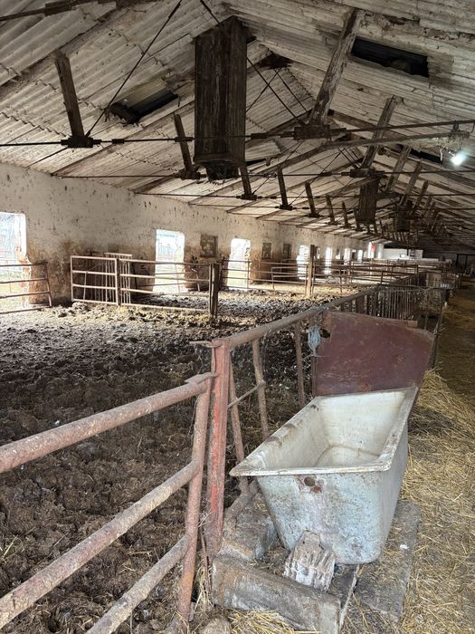 Hala depozitare ferma  80 lungime 12 latimea constructiei +12 /80curte