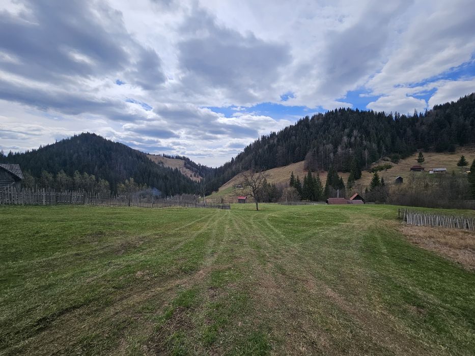 Teren de vanzare in Bucovina Fundu Moldovei