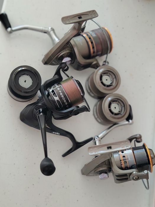 Mulineta Carp Zoom și DAM