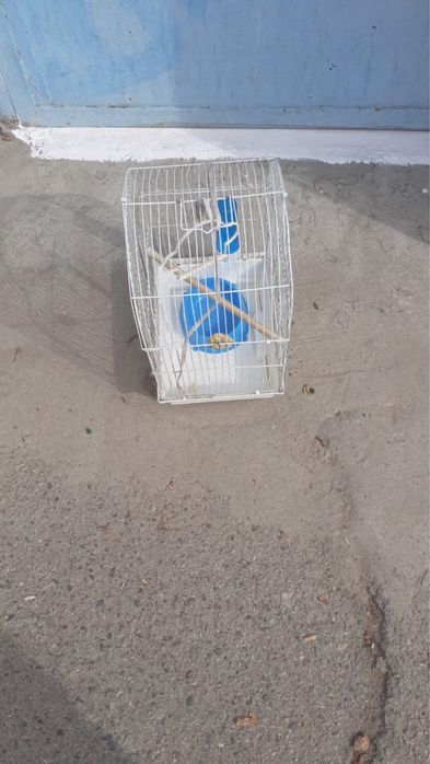 Клетки бу для домашних питомцев и попугаев