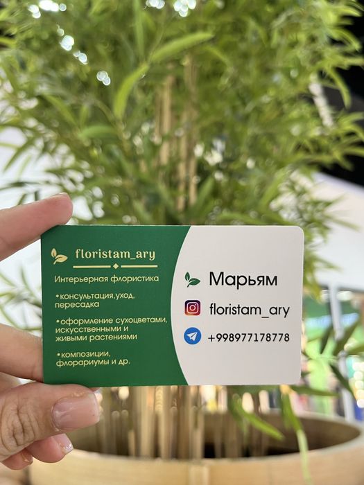 Флорист/цветы/gul/gulchi/теплица/услуги флориста/gul parvarishi