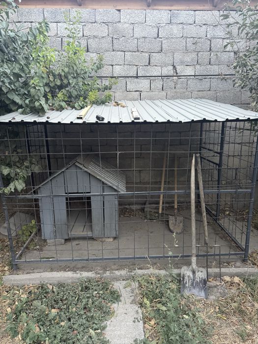 Вольер с конурой для собак