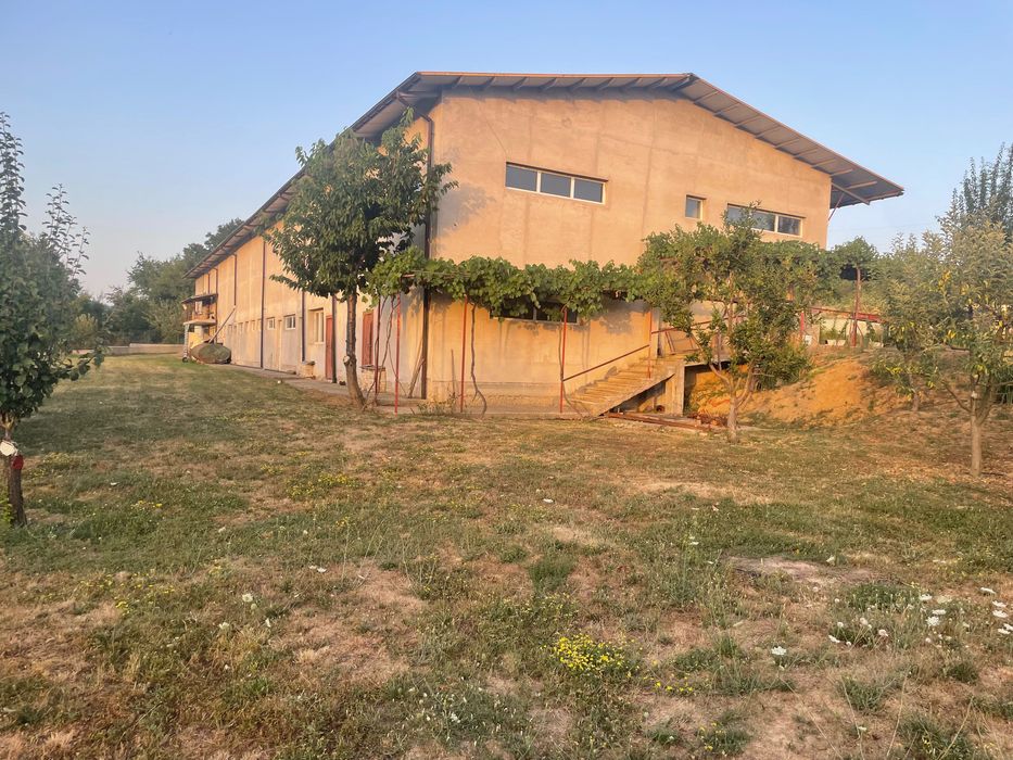 Продава се/дава се под наем
Оборудвана мандра