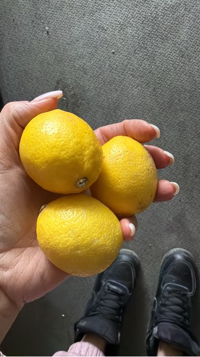 Лимон доя производства