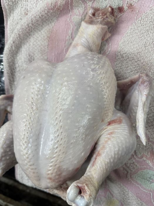 Свежее мясо бройлера