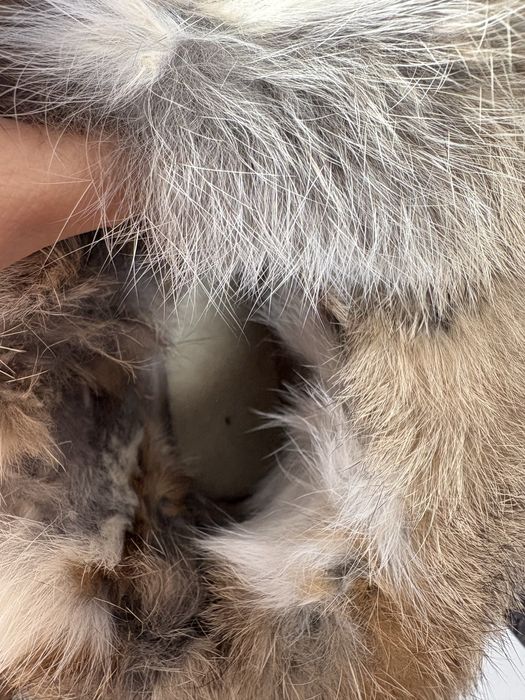 Зимни топли боти