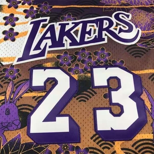 Джерси, форма, футболка Lebron James 23