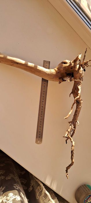 Коряга в аквариум