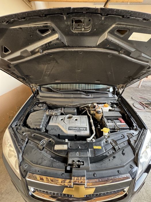 Captiva 1 full pazitsa