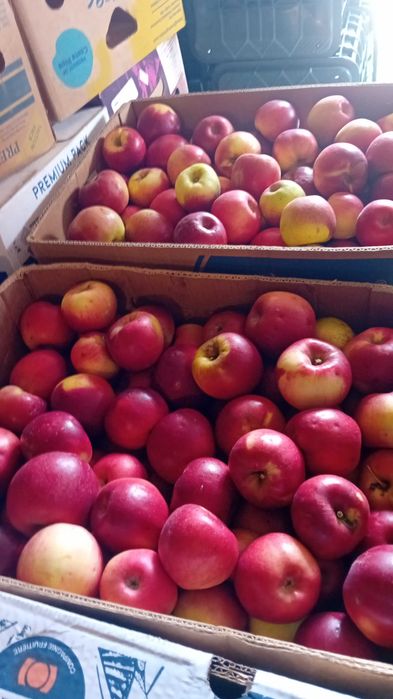 Vând mere calitate superioara