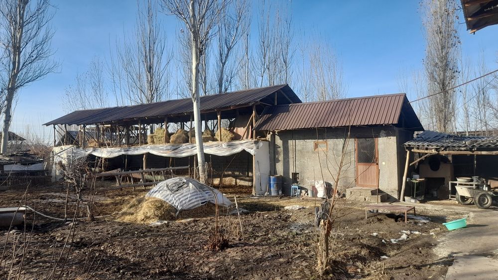 Дом Бостанлыкском районе