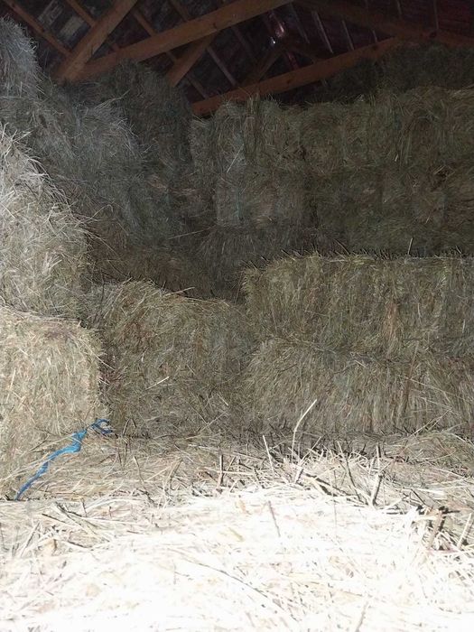 Vand baloti de lucernă si otava