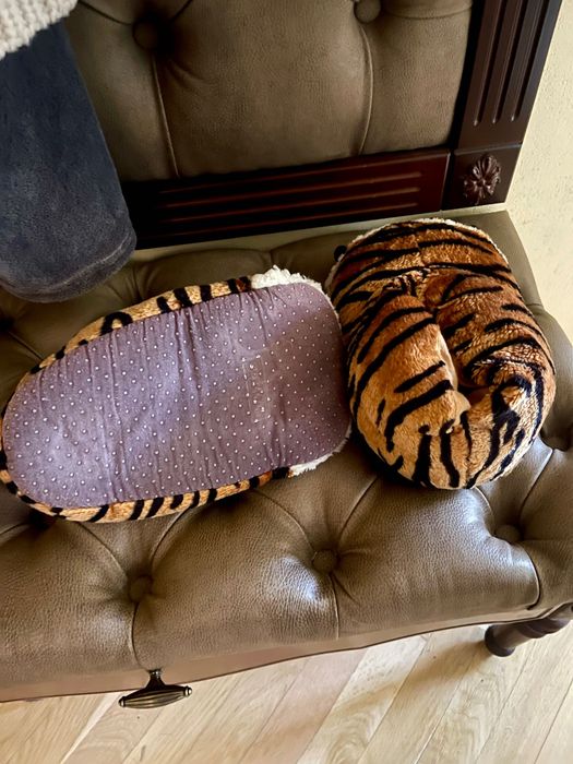 Pupuci de casă leopard tigru 44