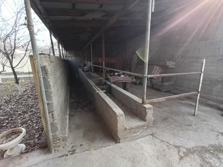 Дом продаётся. Xovli sotiladi