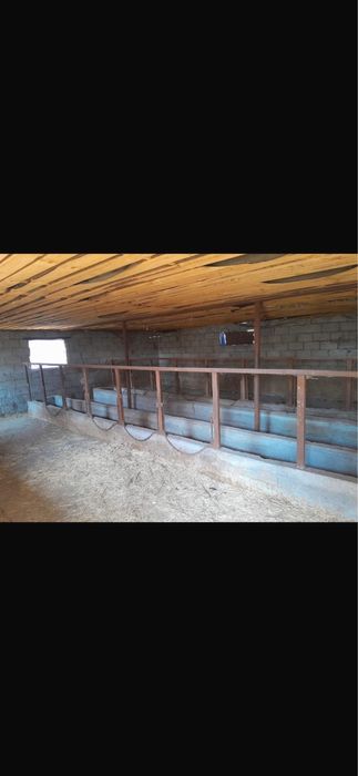 Продам откормочную базу