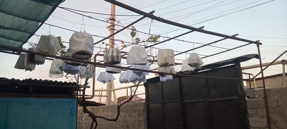 Турковоклар сотилади