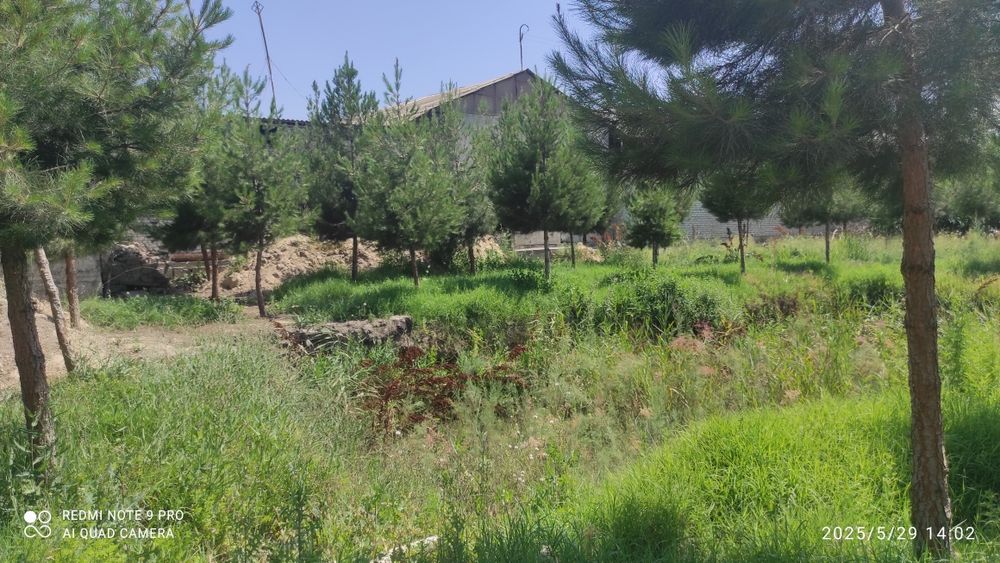 Bassen uchun mõljallanga. 10.5 sotix yer maydoni sotiladi atrofi õralg