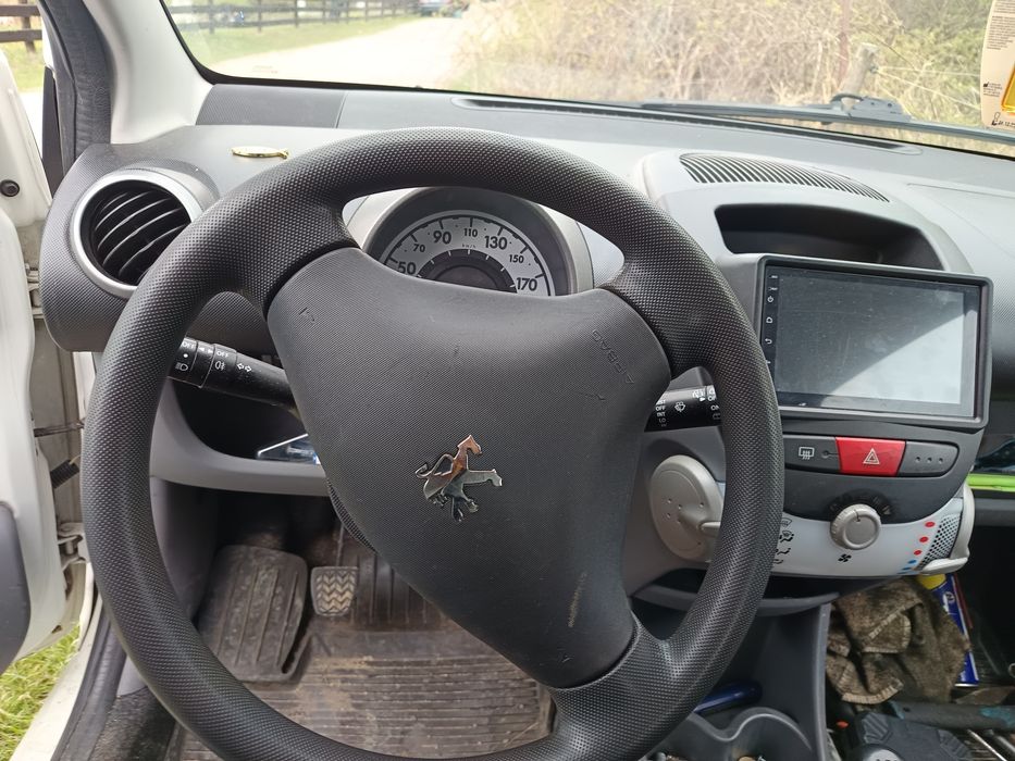 Vind Peugeot din 2009