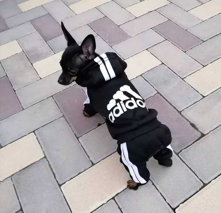 Гащиризон за кучета. Дрехи за кучета. Екип за куче. Кучешки гащиризони