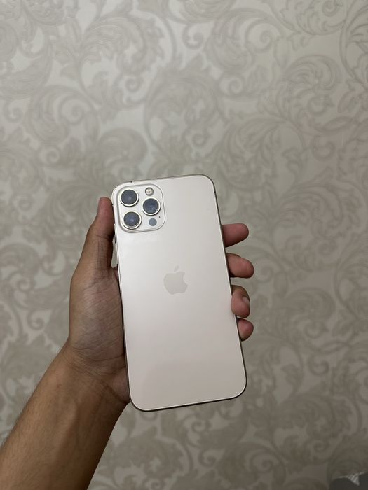 Iphone 12 pro max