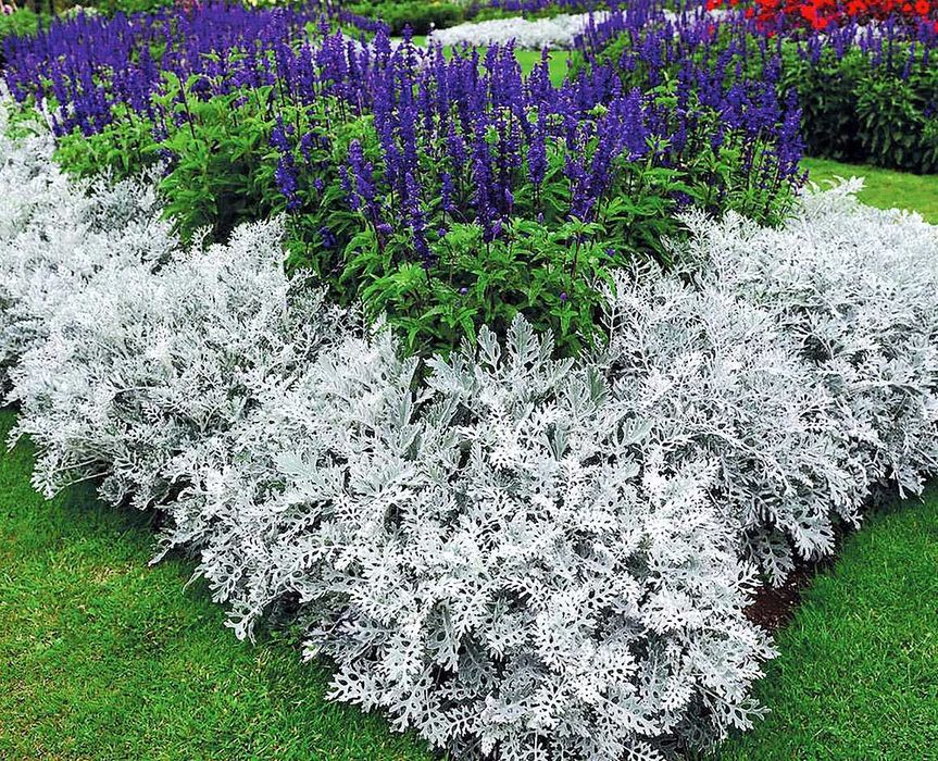 Цветя от производители