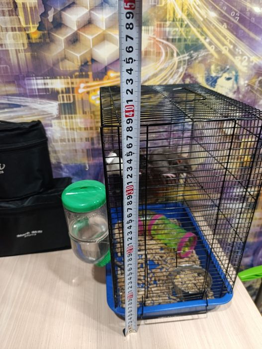 Продам клетку и крыс, можно отдельно.