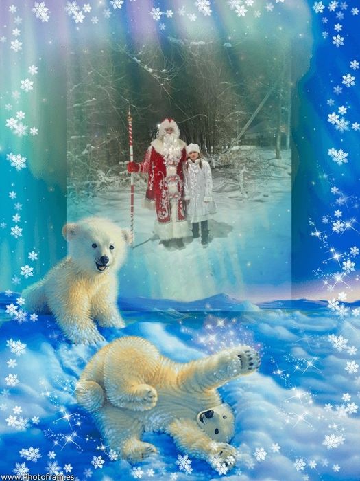 Дед Мороз и Снегурочка