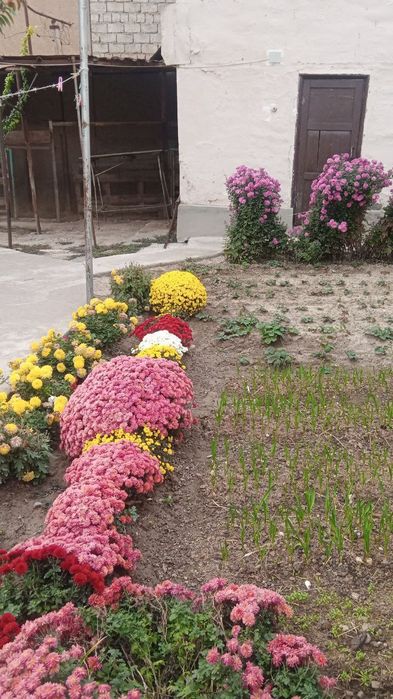 Xovli sotiladi 7sotix chirchiq oktyabr bozorda