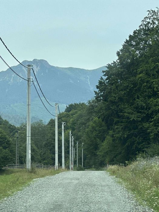 Teren Muntii Tiblesului