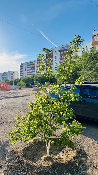 Продам 3-х комнатную кв. в Мобиле