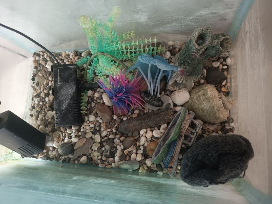 Продам два аквариума