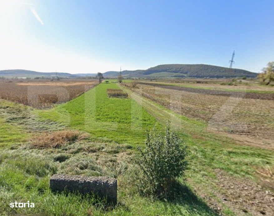 Oportunitate! 59 ari teren agricol la doar 13.000 €