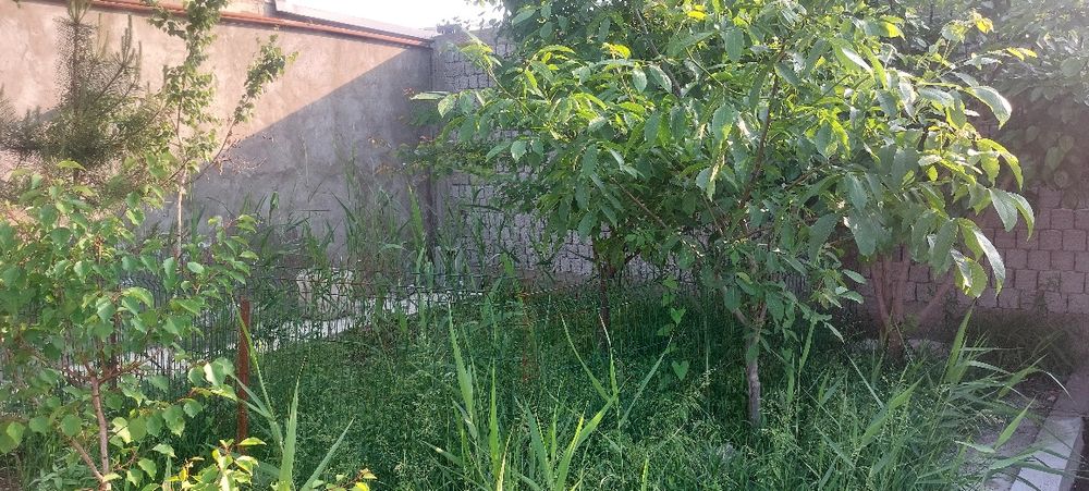 Дача, уй ховли, цех производства на 4 соток