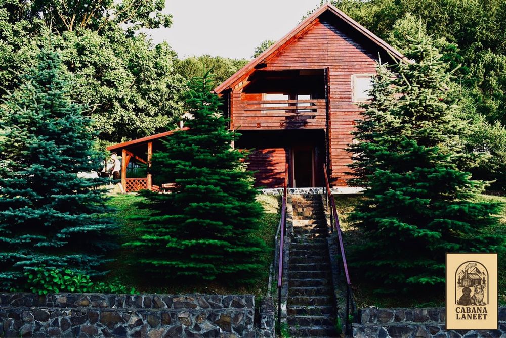 Cabana Laneet de inchiriat (Galaoaia Borzia)