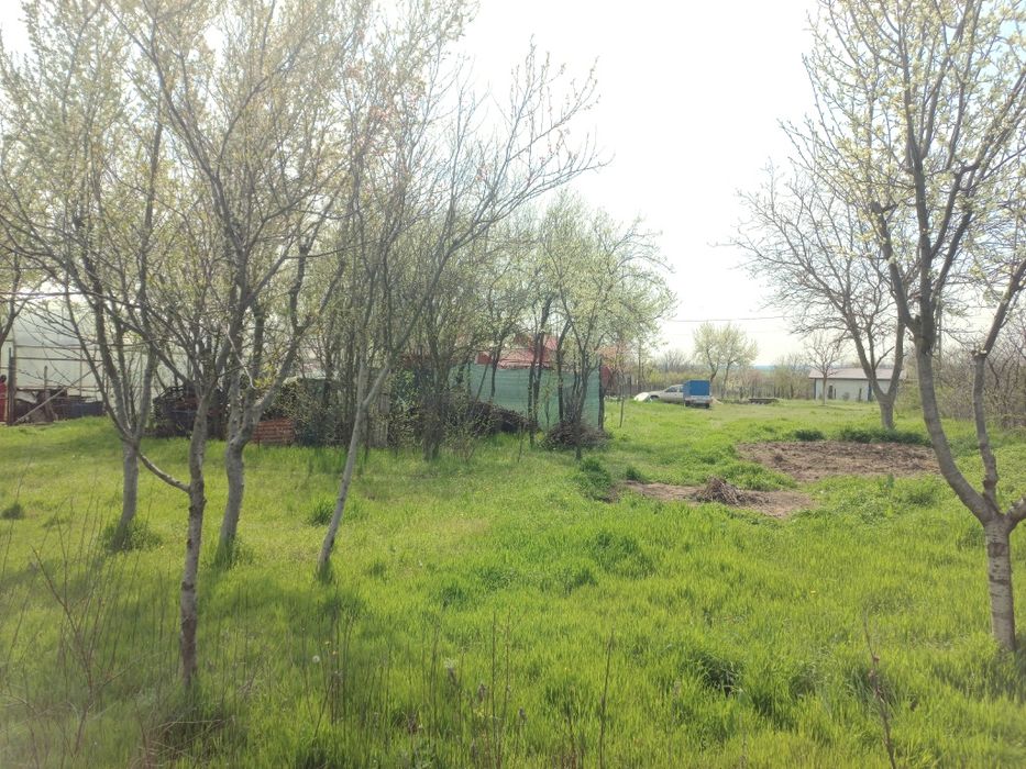 Teren 500mp  Radu Negru Călărași (Gambeta)