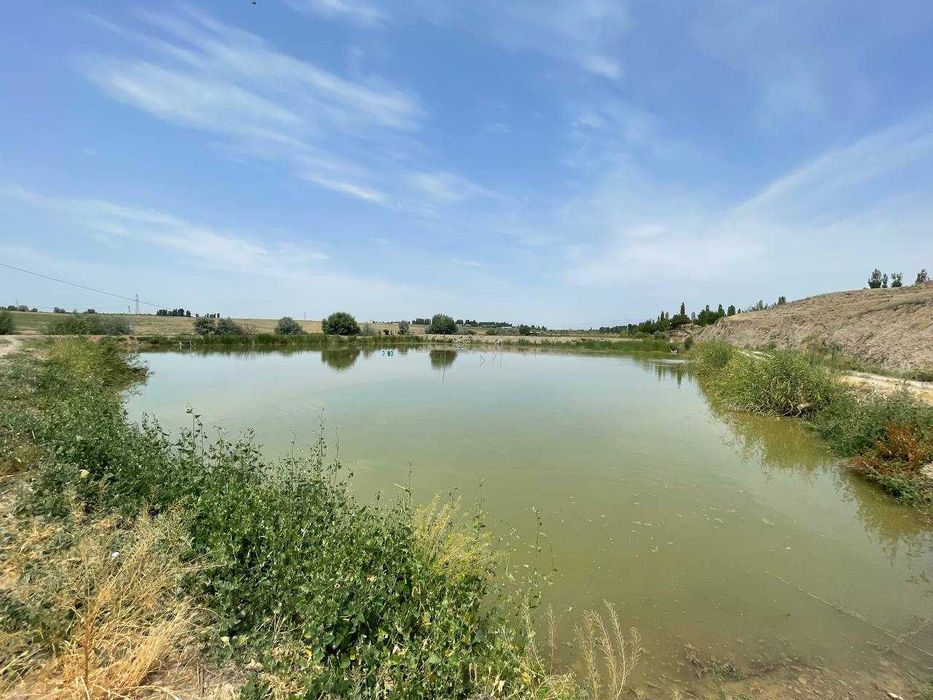 Готовый Бизнес (Рыбное Хозяйство)