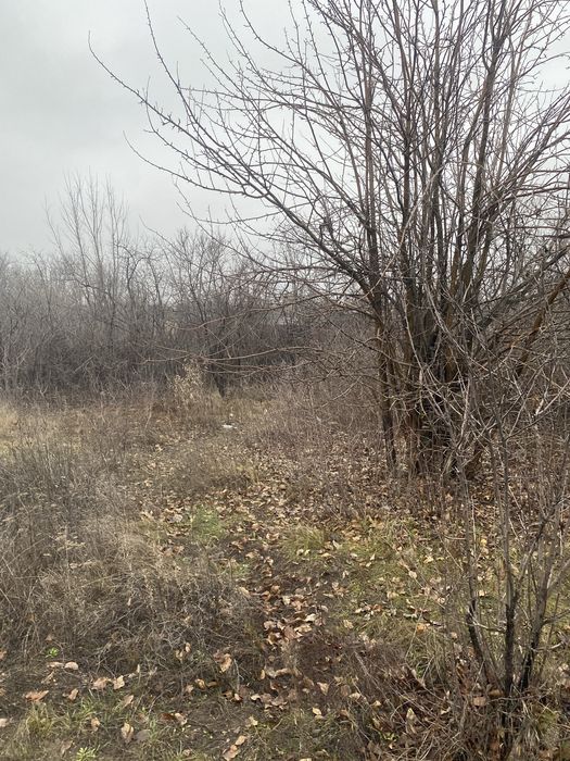 Продам дачу 12 соток