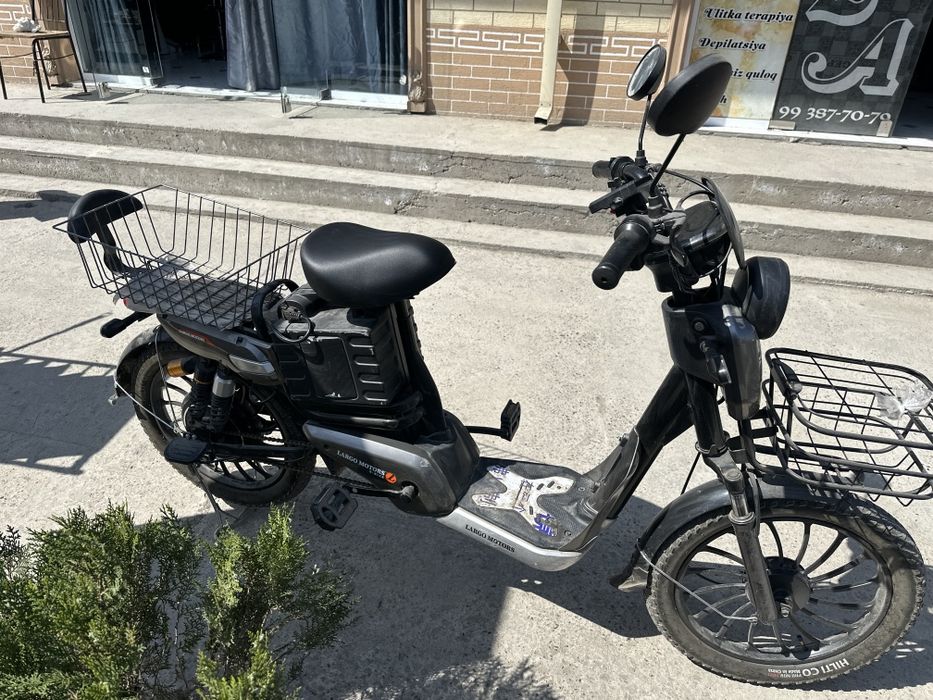 Электронная велик