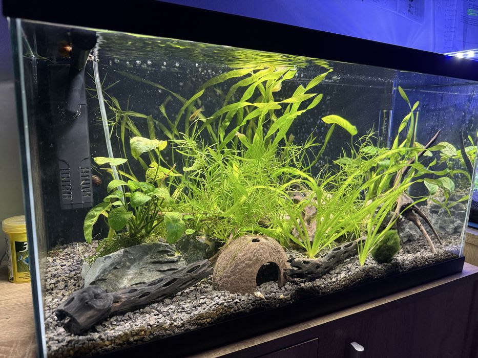 Продавам два аквариума с пълно оборудване – готови за ползване