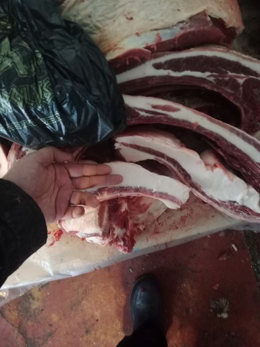 Мясо конины халал