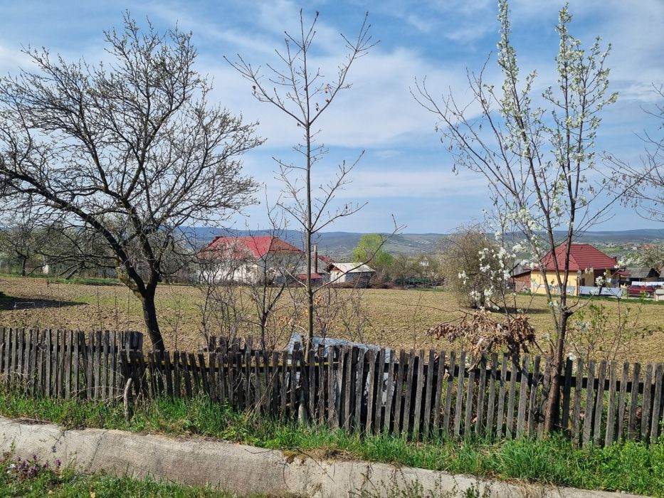 Casa cu teren 44 arii