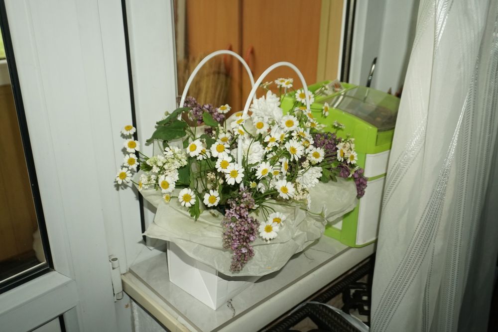 Фотоаппарат Fujifilm Ax650